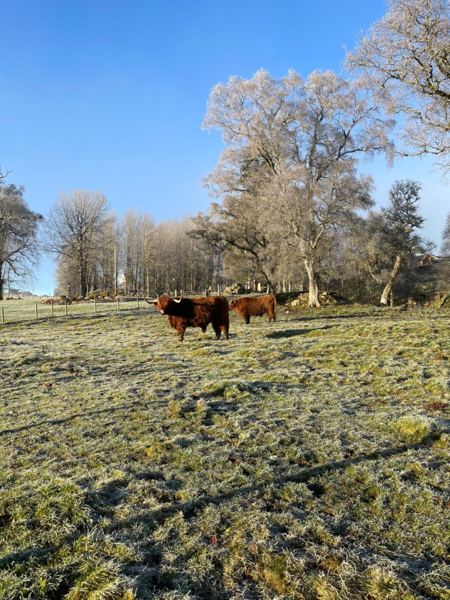 Coppice Cottage Grantown-on-Spey Экстерьер фото