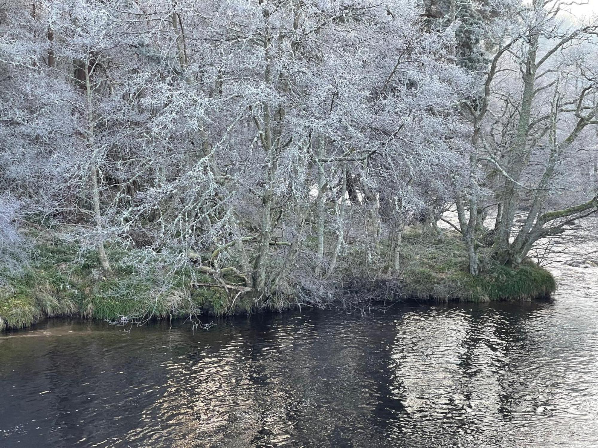 Coppice Cottage Grantown-on-Spey Экстерьер фото