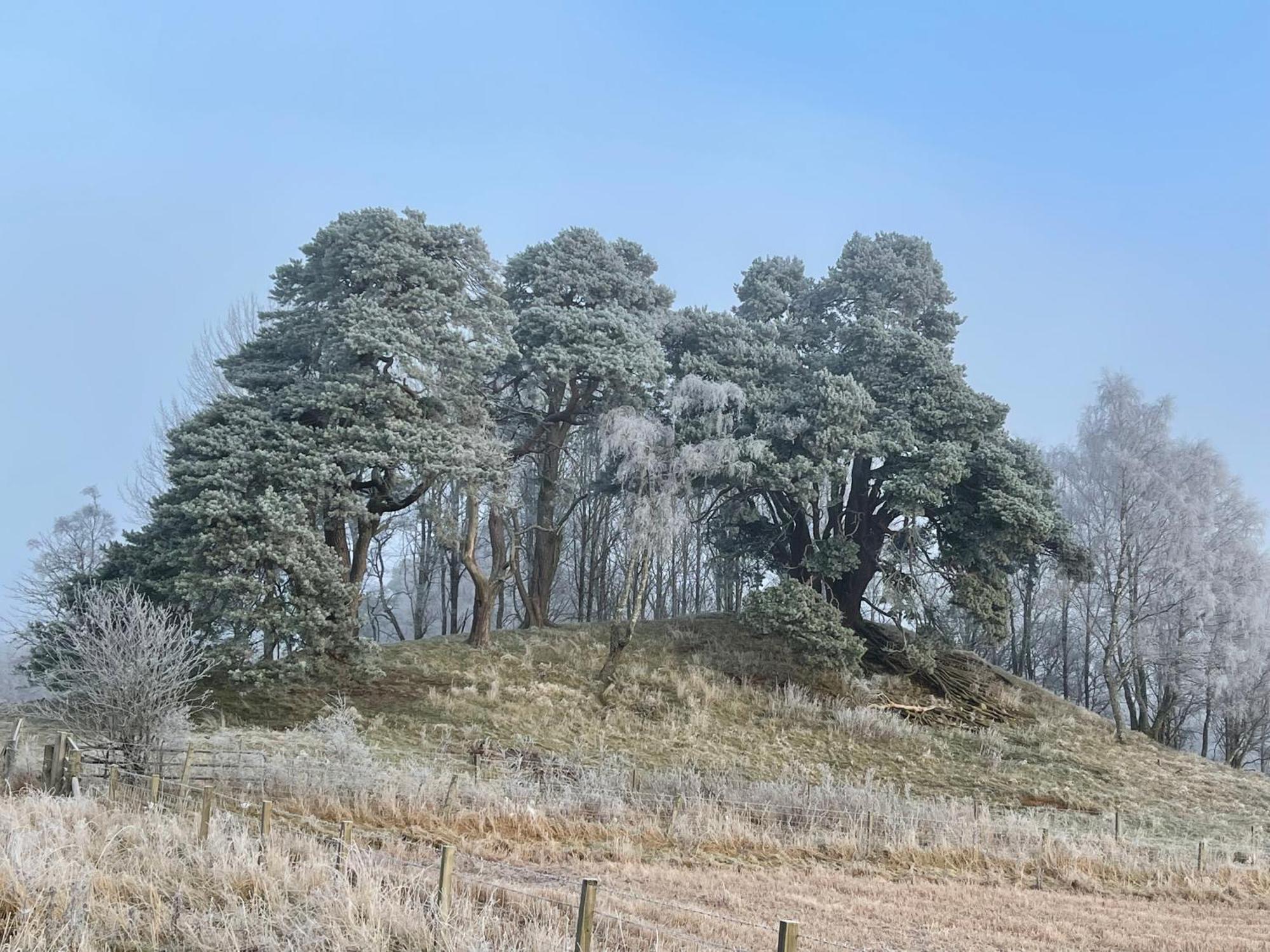 Coppice Cottage Grantown-on-Spey Экстерьер фото