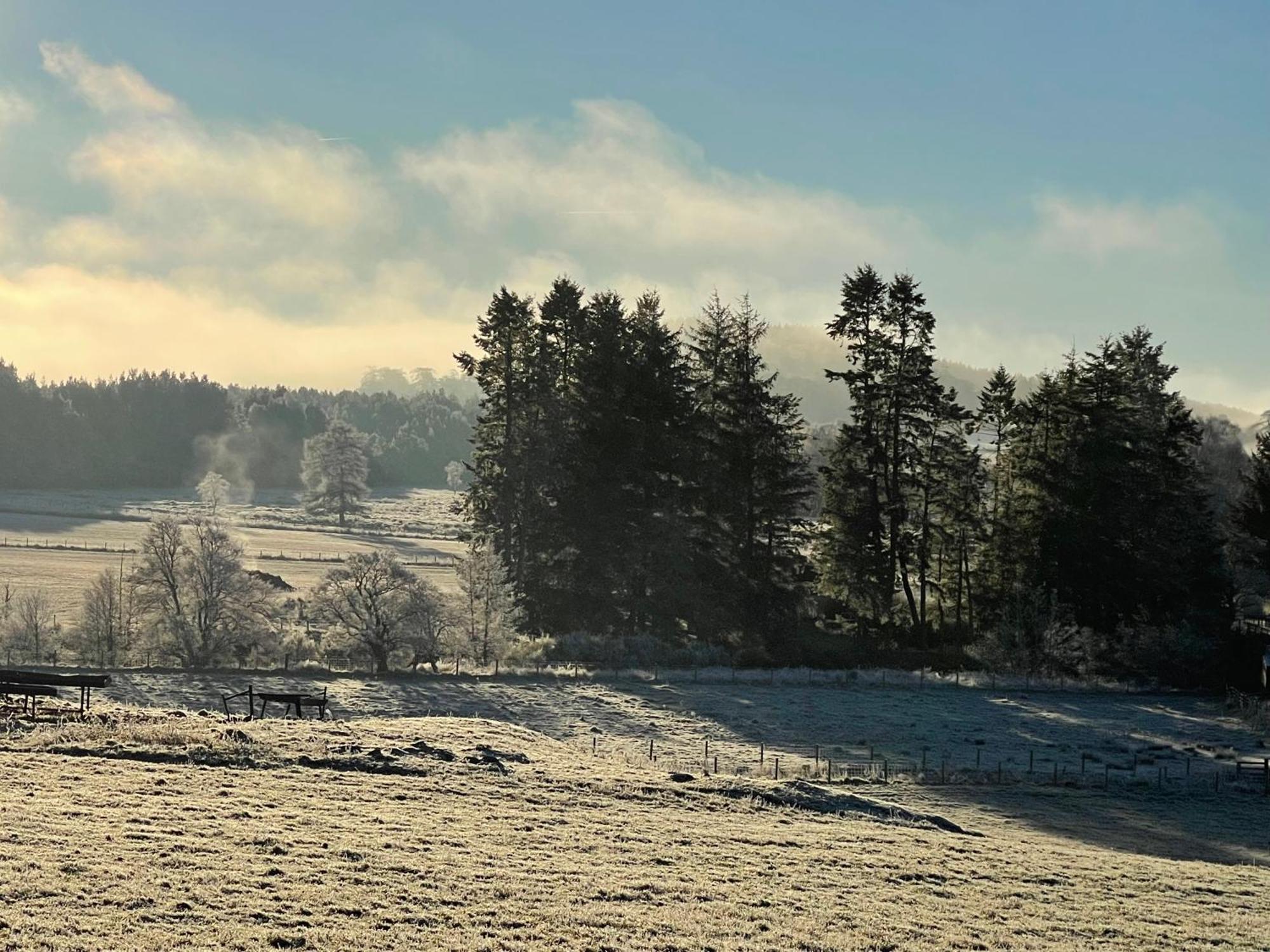 Coppice Cottage Grantown-on-Spey Экстерьер фото
