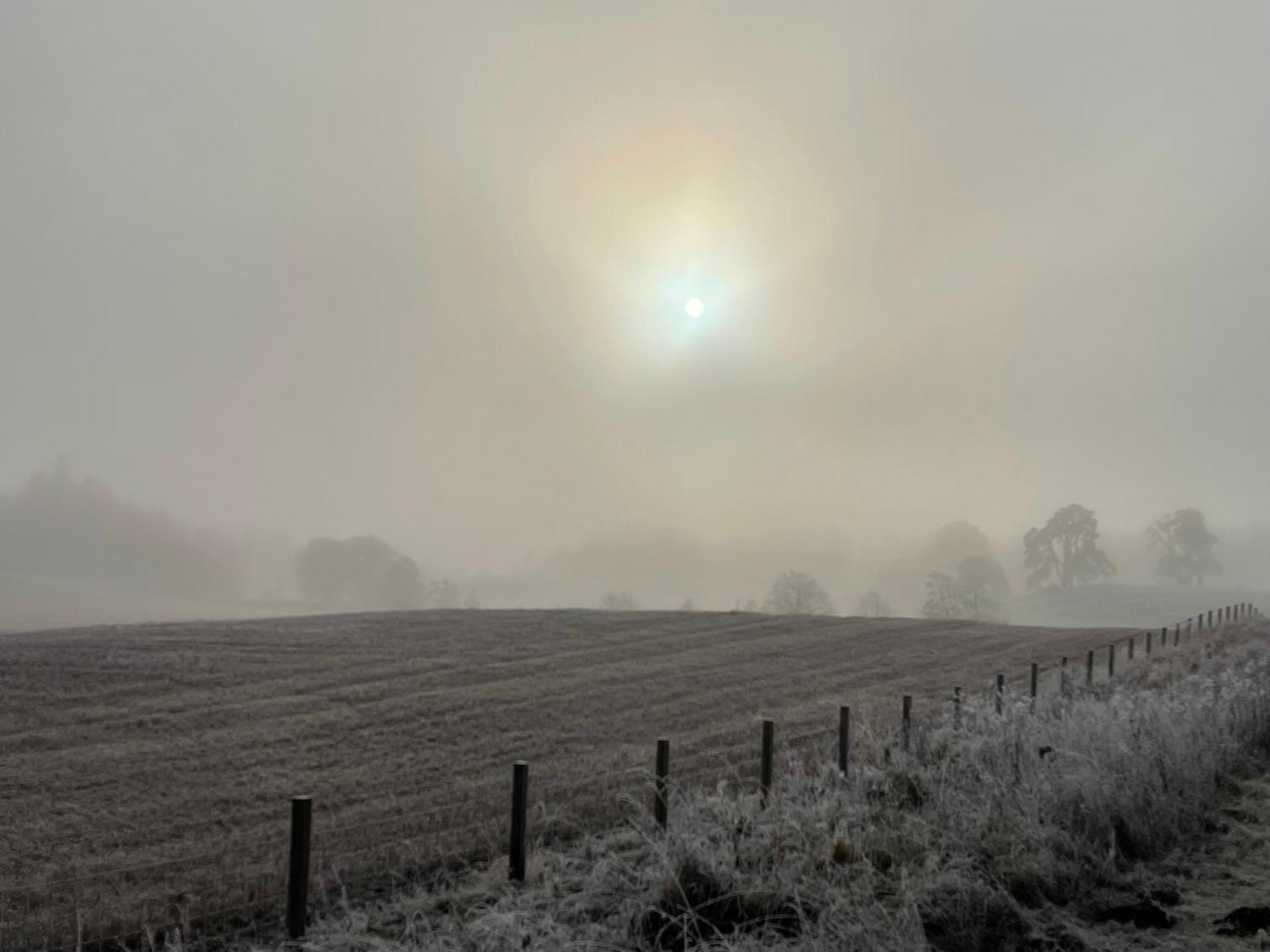 Coppice Cottage Grantown-on-Spey Экстерьер фото